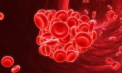 Иван Ефремкин и Анастасия Малай рассказали о признаках тромбоза ivan efremkin i anastasiya malaj rasskazali o priznakah tromboza-ul-rks-ru-0