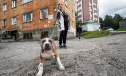 Как выгульщики питомцев с помощью Ъ FM и Uvivo создали бизнес-мечту kak vygulshhiki pitomczev s pomoshhyu i sozdali biznesmechtu-ul-rks-ru-0