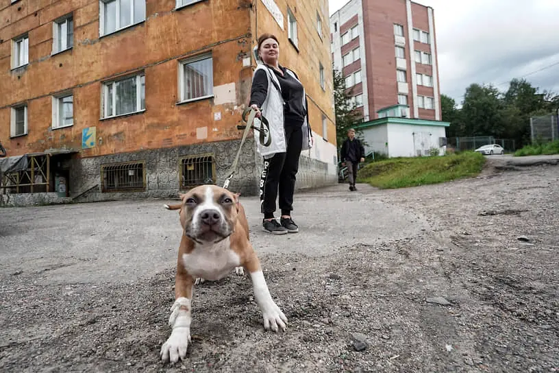 Как выгульщики питомцев с помощью Ъ FM и Uvivo создали бизнес-мечту-0