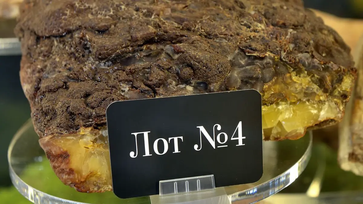 Крупнейший самородок «Сувенир Балтики» продали за один миллион 180 тысяч рублей