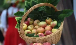 Преображение Господне и Яблочный Спас в контексте духовности и традиций preobrazhenie gospodne i yablochnyj spas v kontekste duhovnosti i tradiczij-ul-rks-ru-0