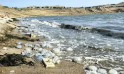 Ученые адаптируют уникальное решение для очистки Керченского пролива от медуз uchenye adaptiruyut unikalnoe reshenie dlya ochistki kerchenskogo proliva ot meduz-ul-rks-ru-0