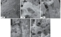Ученые РНФ и ДГУ добиваются успехов в области гадолиния и феррита висмута uchenye rnf i dgu dobivayutsya uspehov v oblasti gadoliniya i ferrita vismuta-ul-rks-ru-0