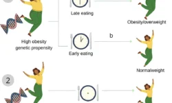 Влияние времени питания на ИМТ и его значение для профилактики ожирения vliyanie vremeni pitaniya na imt i ego znachenie dlya profilaktiki ozhireniya-ul-rks-ru-0