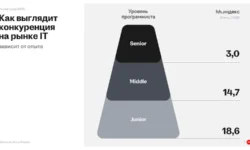dmitrij sergienkov oczenivaet perspektivy programmistov v 1s i -ul-rks-ru-0