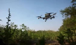 Гонка дронов и битва технологий с Арсеном Жумадиловым и Йоханнесом Пинлом gonka dronov i bitva tehnologij s arsenom zhumadilovym i johannesom pinlom-ul-rks-ru-0