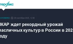 ikar i rosstat ozhidayut rekordnyj urozhaj maslichnyh kultur v 2025 godu-ul-rks-ru-0