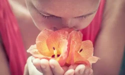 Ирина Волгина объяснила связь паросмии с коронавирусной инфекцией и другими причинами irina volgina obyasnila svyaz parosmii s koronavirusnoj infekcziej i drugimi prichinami-ul-rks-ru-0