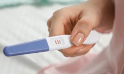 Любовь Ерофеева и Сорок Сороков обсуждают инициативы для семьи в Думе lyubov erofeeva i sorok sorokov obsuzhdayut inicziativy dlya semi v dume-ul-rks-ru-0