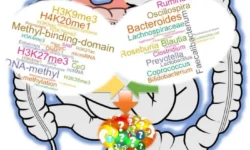 Персонализированная медицина и влияние микробиома кишечника на гены personalizirovannaya mediczina i vliyanie mikrobioma kishechnika na geny-ul-rks-ru-0