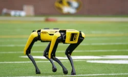 robopes stal geroem reklam i shou -ul-rks-ru-0