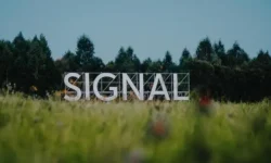 Светлана, Тати и Егор Вирков делятся надеждами о будущем фестиваля svetlana tati i egor virkov delyatsya nadezhdami o budushhem festivalya-ul-rks-ru-0