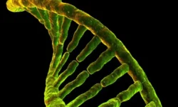 uchyonye tokijskogo universiteta rassmatrivayut otkrytie dnkgigantov -ul-rks-ru-0