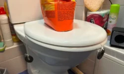 Владивостокский дом на Надибаидзе, 32 побеждает крысиную проблему общими усилиями vladivostokskij dom na nadibaidze 32 pobezhdaet krysinuyu problemu obshhimi usiliyami-ul-rks-ru-0