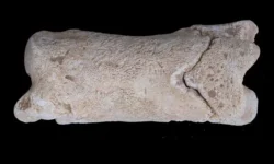 arheologi raskryli sekret neobychnogo svistka iz ahetatona v drevnem egipte-ul-rks-ru-0