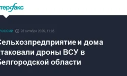 Атака дронов ВСУ на Белгородскую область привела к последствиям и мерам поддержки ataka dronov vsu na belgorodskuyu oblast privela k posledstviyam i meram podderzhki-ul-rks-ru-0