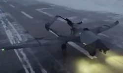 chernyj drozd i rys predstavlyayut soboj vyzov dlya  i sistem pkr-ul-rks-ru-0