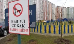 Дмитрий Бондарь объяснил, когда россиянам грозит штраф за посещение детских площадок dmitrij bondar obyasnil kogda rossiyanam grozit shtraf za poseshhenie detskih ploshhadok-ul-rks-ru-0