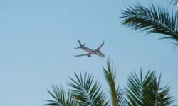 entoni albaneze i oficzer vvs obsudili posadku samoleta v ssha i inczidenty trampa-ul-rks-ru-0