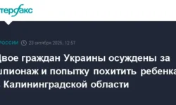 ФСБ пресекла шпионаж и попытку похищения ребенка украинцами в Калининградской области fsb presekla shpionazh i popytku pohishheniya rebenka ukrainczami v kaliningradskoj oblasti-ul-rks-ru-0