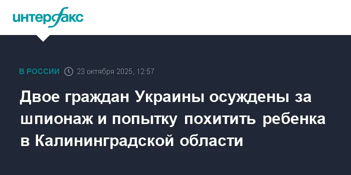ФСБ пресекла шпионаж и попытку похищения ребенка украинцами в Калининградской области-0