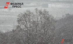 Игорь Кобзев и Роман Колесов принимают меры к снегопадам в Иркутской области igor kobzev i roman kolesov prinimayut mery k snegopadam v irkutskoj oblasti-ul-rks-ru-0