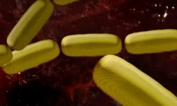 Исследование UCLA Health показало связь Clostridiales и Lachnospiraceae с психическим здоровьем детей issledovanie pokazalo svyaz i s psihicheskim zdorovem detej-ul-rks-ru-0