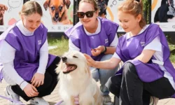 Как Москва заботится о животных на Тверском бульваре и с помощью mos.ru kak moskva zabotitsya o zhivotnyh na tverskom bulvare i s pomoshhyu -ul-rks-ru-0