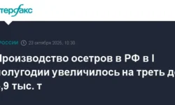 Карелия, Приморский и Ленинградская области лидируют в росте производства осетров kareliya primorskij i leningradskaya oblasti lidiruyut v roste proizvodstva osetrov-ul-rks-ru-0