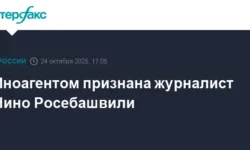 Минюст обвиняет Сулейманова и Чернышевского в пополнении реестра иностранных агентов minyust obvinyaet sulejmanova i chernyshevskogo v popolnenii reestra inostrannyh agentov-ul-rks-ru-0