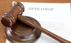 moskovskij sud otmenil shtraf v istorii nadezhdy zelinskoj i ee zefirki-ul-rks-ru-0