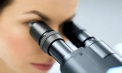 oleg rakitin i yuurgu razvivayut mezhdunarodnoe sotrudnichestvo v issledovaniyah virusov-ul-rks-ru-0