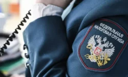 Ольга Соснина оценила инициативы ФНС и ЛДПР по налогам и имуществу olga sosnina oczenila inicziativy fns i ldpr po nalogam i imushhestvu-ul-rks-ru-0