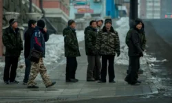 pravitelstvo rossii raspredelilo kvoty inostranczam dlya primorya i dalnego vostoka-ul-rks-ru-0