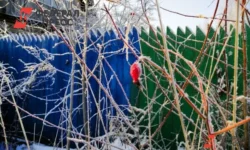 Прогноз от Примгидромета обещает яркую и бездождливую неделю в Приморье prognoz ot primgidrometa obeshhaet yarkuyu i bezdozhdlivuyu nedelyu v primore-ul-rks-ru-0