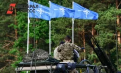 Путин анонсировал новые возможности в ответ на учения НАТО Steadfast Noon putin anonsiroval novye vozmozhnosti v otvet na ucheniya nato -ul-rks-ru-0