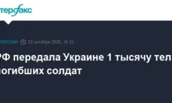 Россия возвращает Украине тысячу тел погибших согласно стамбульским договоренностям rossiya vozvrashhaet ukraine tysyachu tel pogibshih soglasno stambulskim dogovorennostyam-ul-rks-ru-0