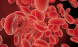 Советы Пермского Политеха по поддержанию уровня гемоглобина при анемии sovety permskogo politeha po podderzhaniyu urovnya gemoglobina pri anemii-ul-rks-ru-0