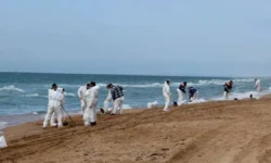 В Анапе зафиксировано отсутствие мазутных пятен на море по данным оперштаба v anape zafiksirovano otsutstvie mazutnyh pyaten na more po dannym opershtaba-ul-rks-ru-0