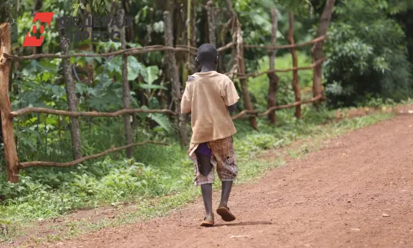 В Эль-Фашере произошла резня, жертвами которой стали тысячи в Дарфуре-0