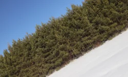 В Красноярском крае волонтеры и МЧС слаженно ищут семью Усольцевых v krasnoyarskom krae volontery i mchs slazhenno ishhut semyu usolczevyh-ul-rks-ru-0