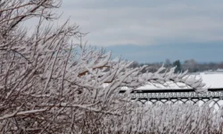 В ноябре в Югре ожидаются снег, ледяной дождь и магнитные бури v noyabre v yugre ozhidayutsya sneg ledyanoj dozhd i magnitnye buri-ul-rks-ru-0
