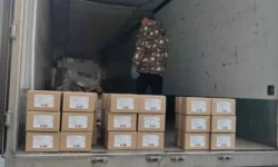 Вакцина Пентаксим для профилактики пяти инфекций прибыла во Владивосток vakczina pentaksim dlya profilaktiki pyati infekczij pribyla vo vladivostok-ul-rks-ru-0