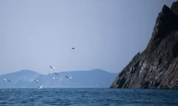 Владимир Зеленский категорически отверг задумку тоннеля Россия — Аляска перед Трампом vladimir zelenskij kategoricheski otverg zadumku tonnelya rossiya alyaska pered trampom-ul-rks-ru-0