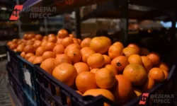 Александр Попов раскрывает радость новогодних традиций в СССР aleksandr popov raskryvaet radost novogodnih tradiczij v sssr-ul-rks-ru-0