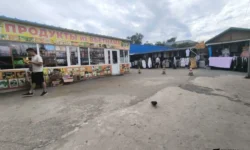 Арбитражный суд Приморского края одобрил развитие Спортивного рынка Владивостока arbitrazhnyj sud primorskogo kraya odobril razvitie sportivnogo rynka vladivostoka-ul-rks-ru-0