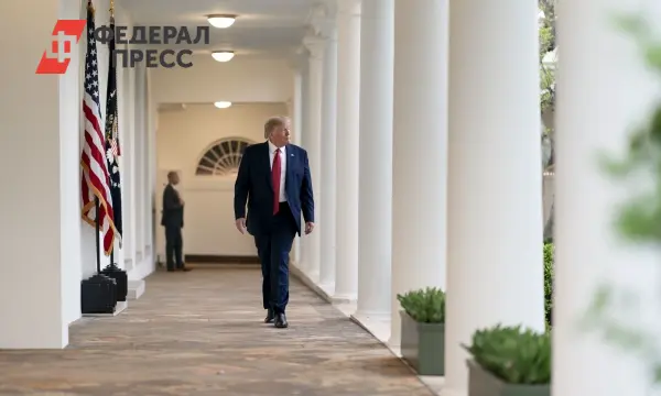 Дональд Трамп игнорирует Зеленского — ВСУ усиливают атаки на Белгород и Воронеж-0