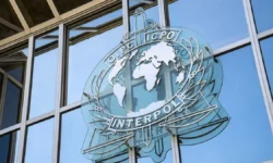 Интерпол успешно задержал в Санкт-Петербурге бизнесмена по запросу Литвы interpol uspeshno zaderzhal v sanktpeterburge biznesmena po zaprosu litvy-ul-rks-ru-0