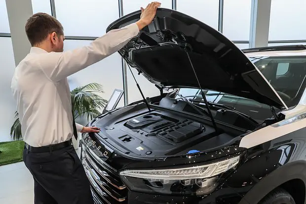 Вводная картинка