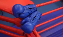 Леа Фонтен и необычный инцидент с Симонетти на Большом шлеме по дзюдо lea fonten i neobychnyj inczident s simonetti na bolshom shleme po dzyudo-ul-rks-ru-0